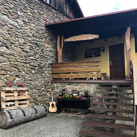 Apartamento Špičák - U Barabů Železná Ruda Exterior foto